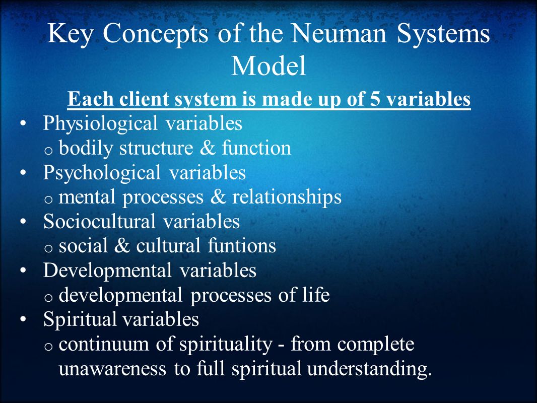 neuman systems model stressors examples