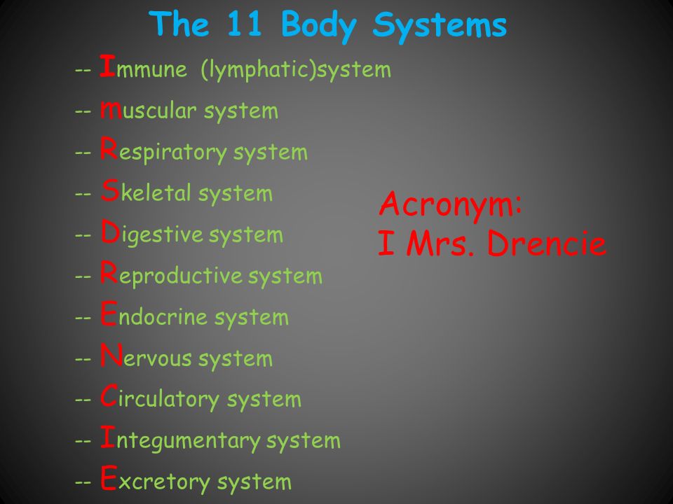 Body Systems. - ppt video online download