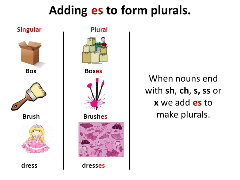 Adding es to form plurals.