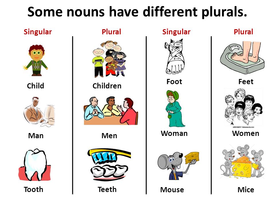 Some nouns have different plurals.