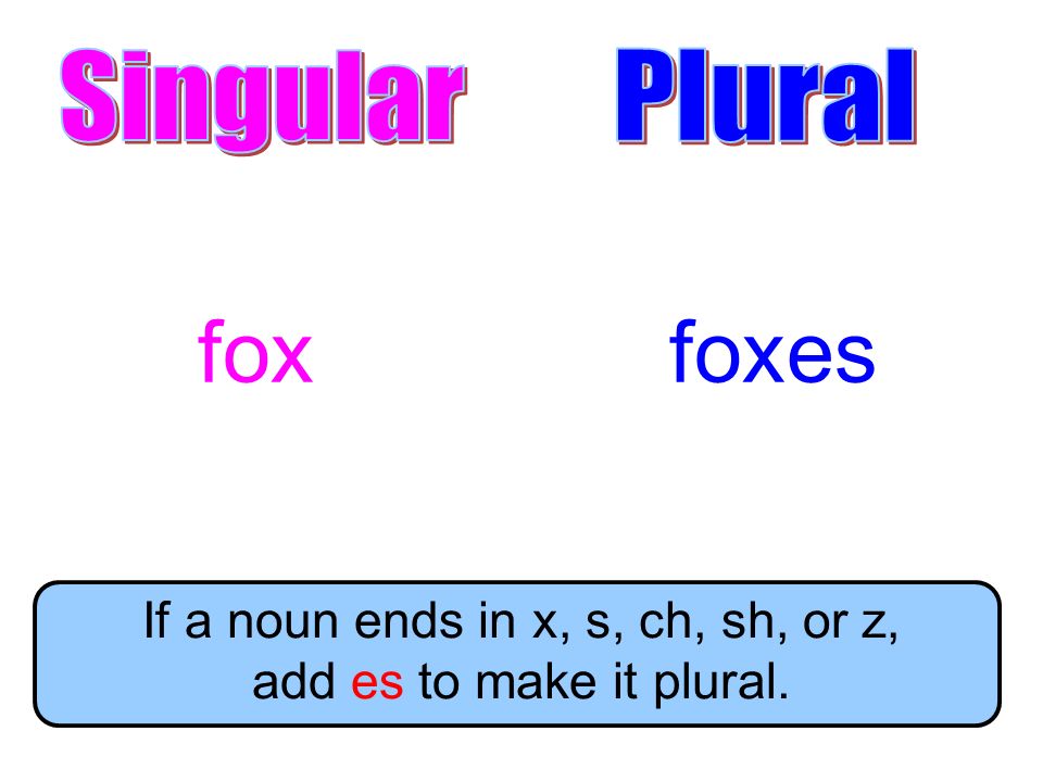 If a noun ends in x, s, ch, sh, or z, add es to make it plural.