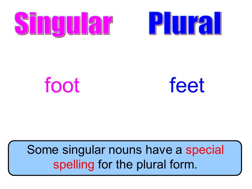 Some singular nouns have a special spelling for the plural form.