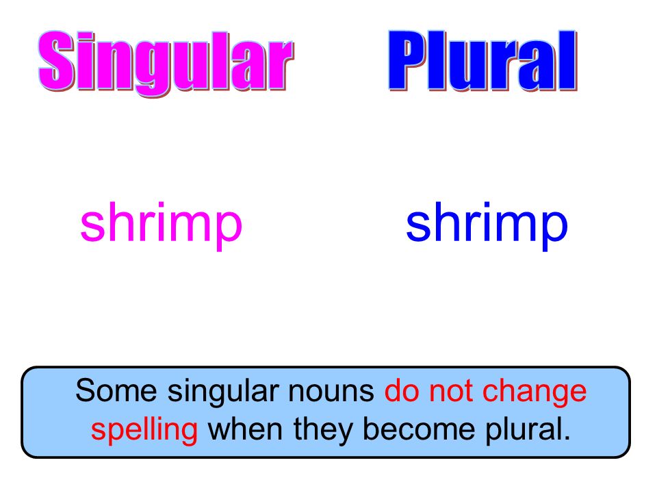Some singular nouns do not change spelling when they become plural.