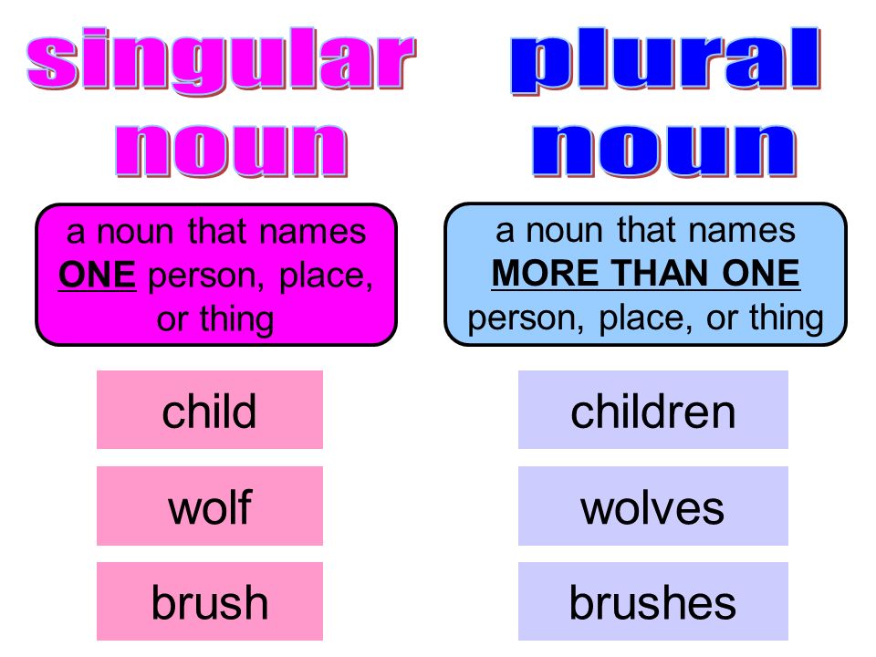 child children wolf wolves brush brushes singular noun plural noun