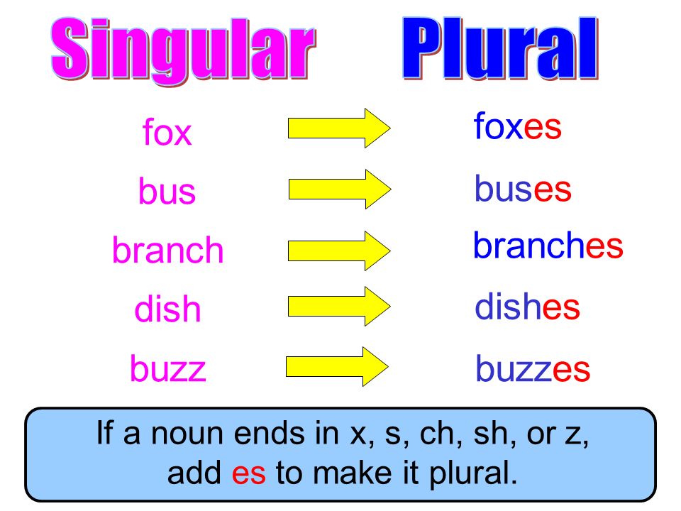 If a noun ends in x, s, ch, sh, or z, add es to make it plural.