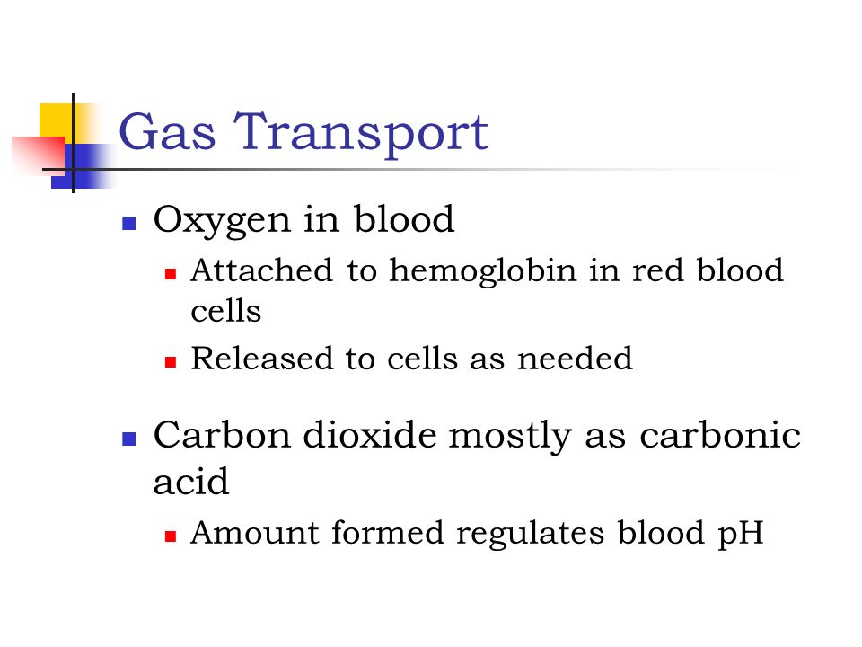 Gas Transport Oxygen in blood Carbon dioxide mostly as carbonic acid