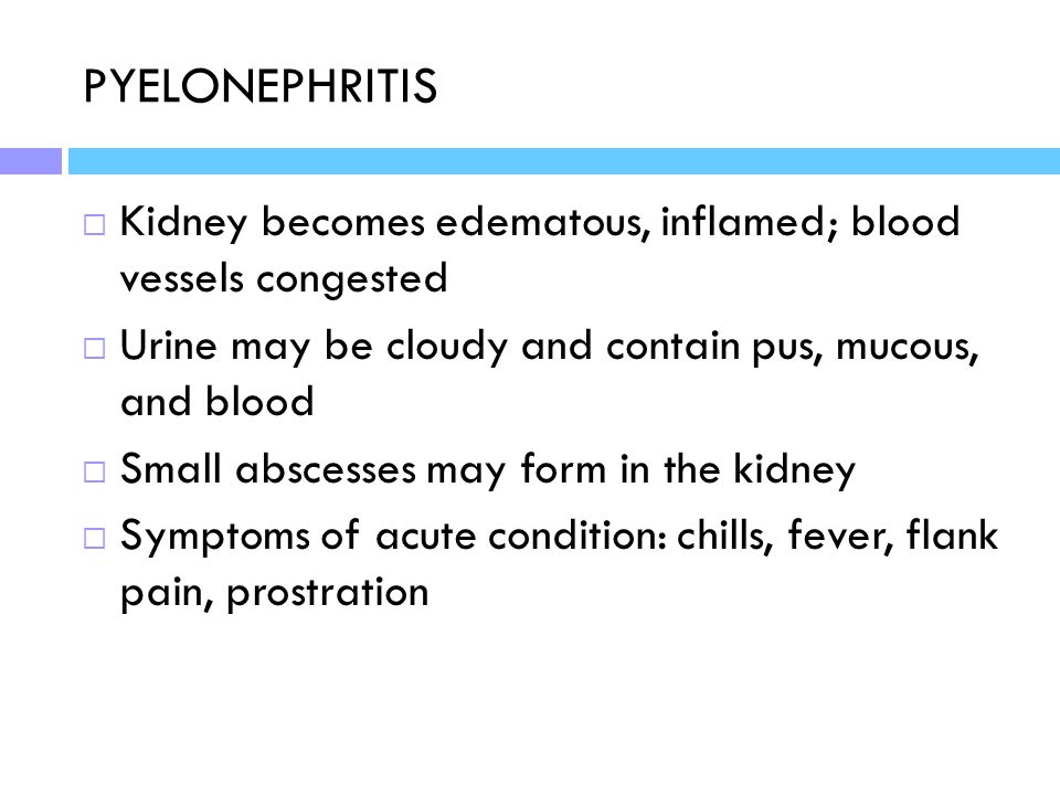 PYELONEPHRITIS Kidney becomes edematous, inflamed; blood vessels congested. Urine may be cloudy and contain pus, mucous, and blood.