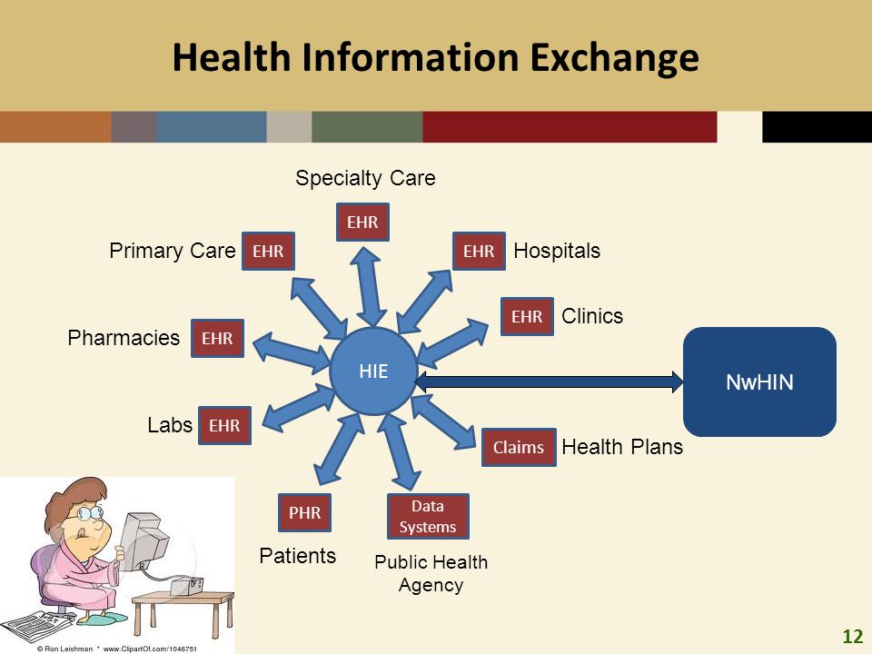 Health information. Information Exchanges. Hie. EHR structure.