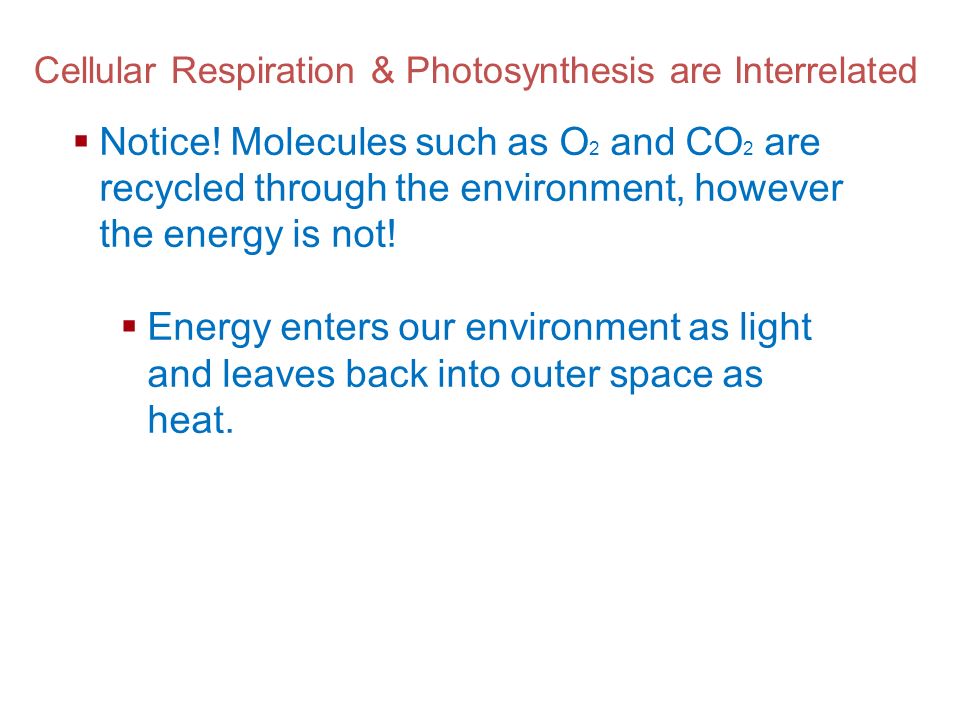 Cellular Respiration & Photosynthesis are Interrelated