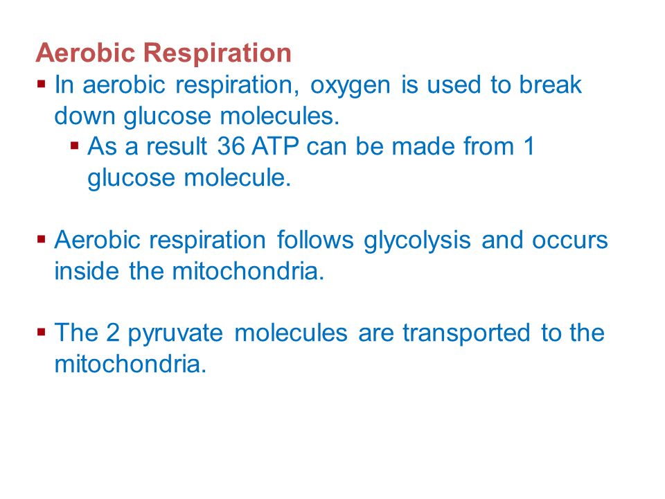 Cellular Energy Aerobic Respiration. In aerobic respiration, oxygen is used to break down glucose molecules.
