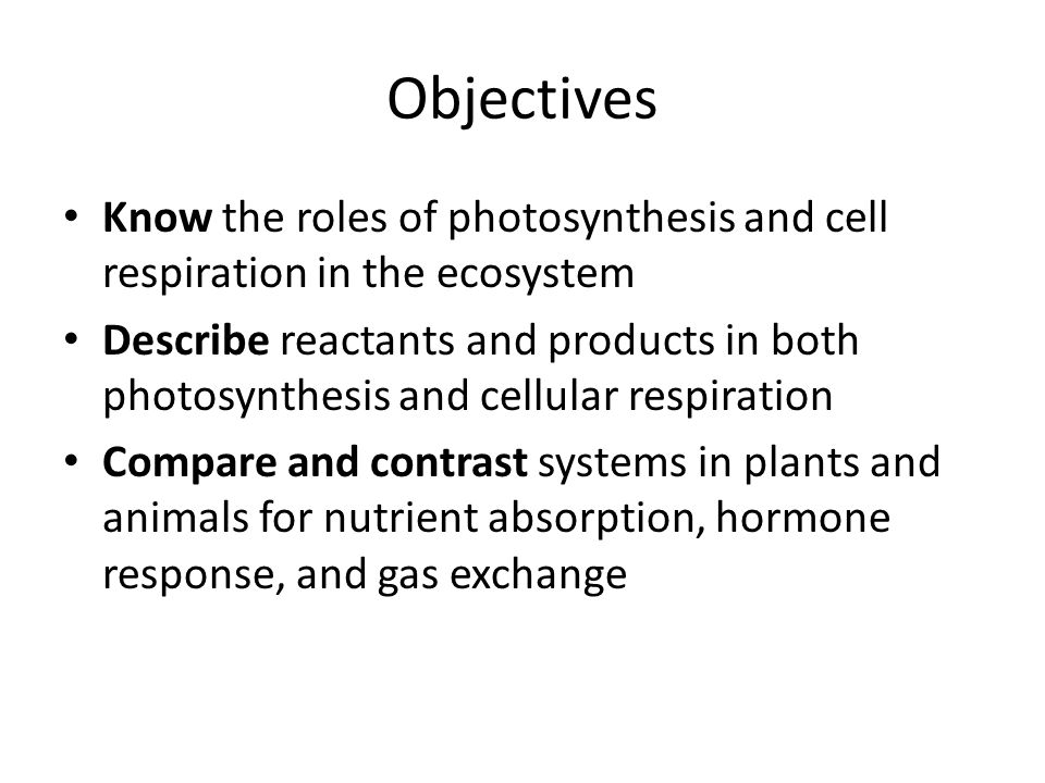 Objectives Know the roles of photosynthesis and cell respiration in the ecosystem.
