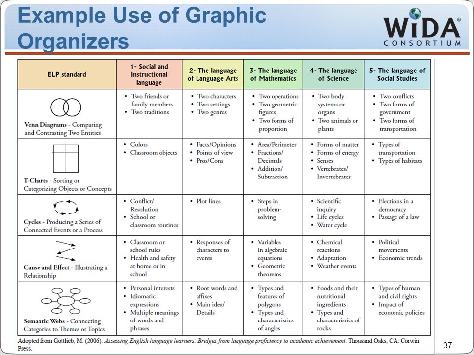 Example Use of Graphic Organizers NT