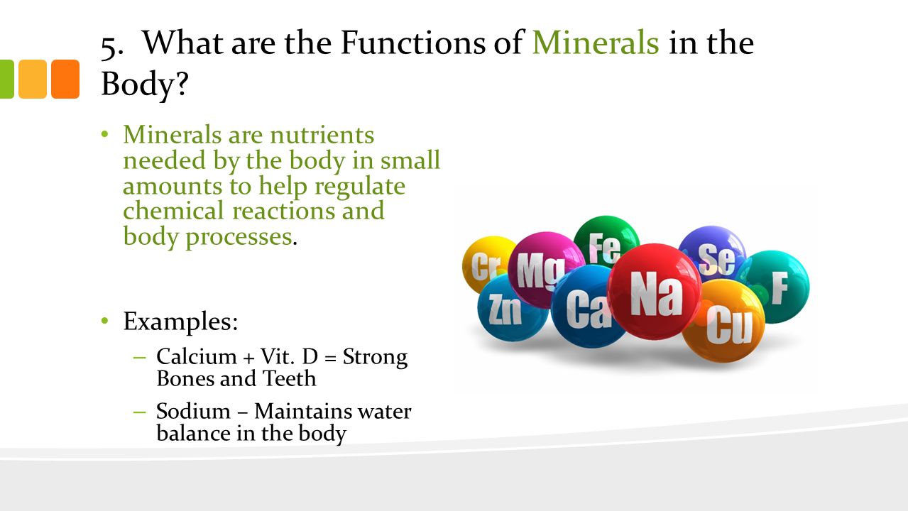 5. What are the Functions of Minerals in the Body