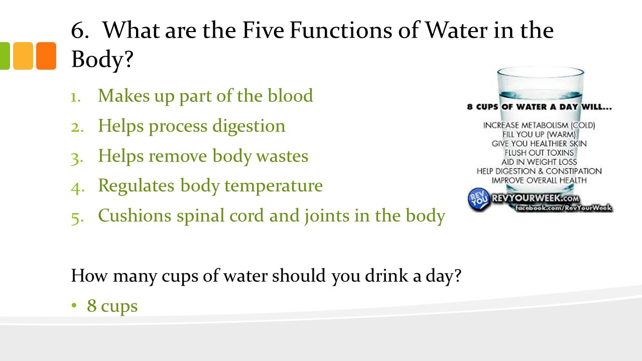 6. What are the Five Functions of Water in the Body