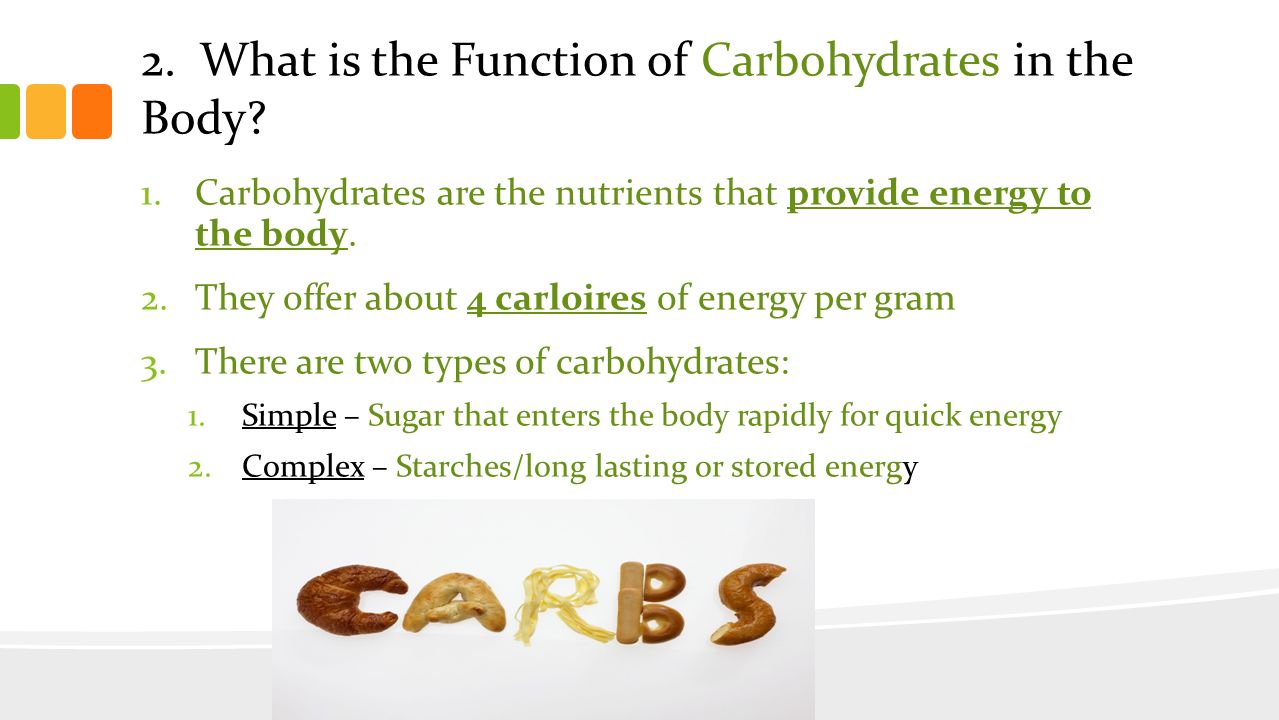2. What is the Function of Carbohydrates in the Body