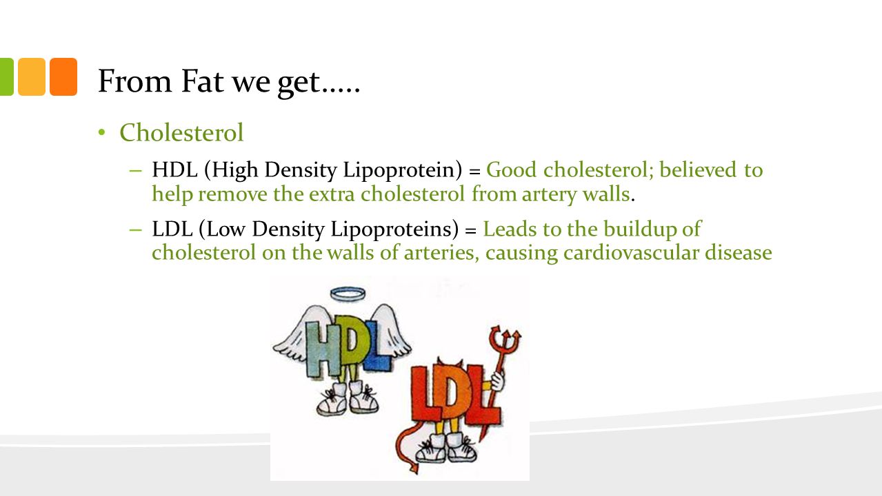 From Fat we get….. Cholesterol