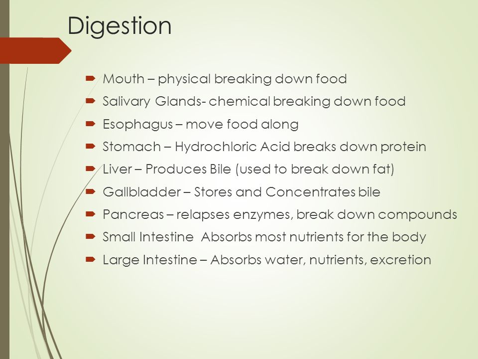 Digestion Mouth – physical breaking down food