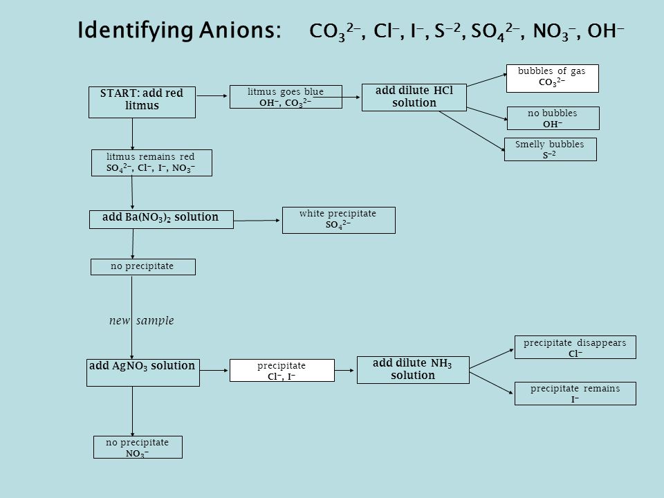 Anion Flow Chart Qualitative Analysis