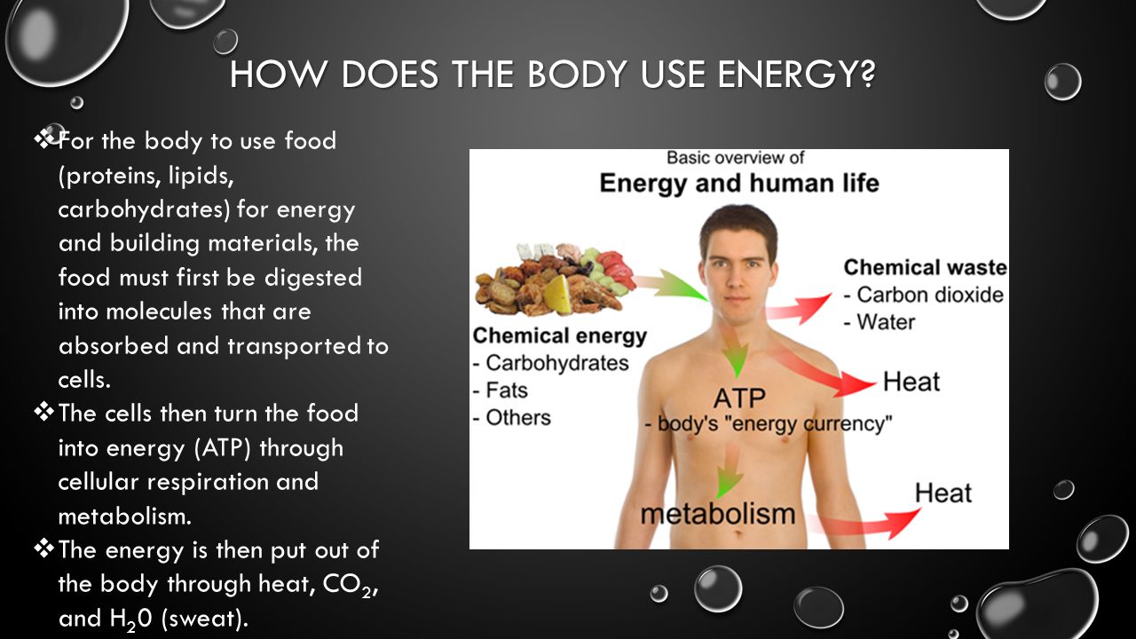 How does the body use energy
