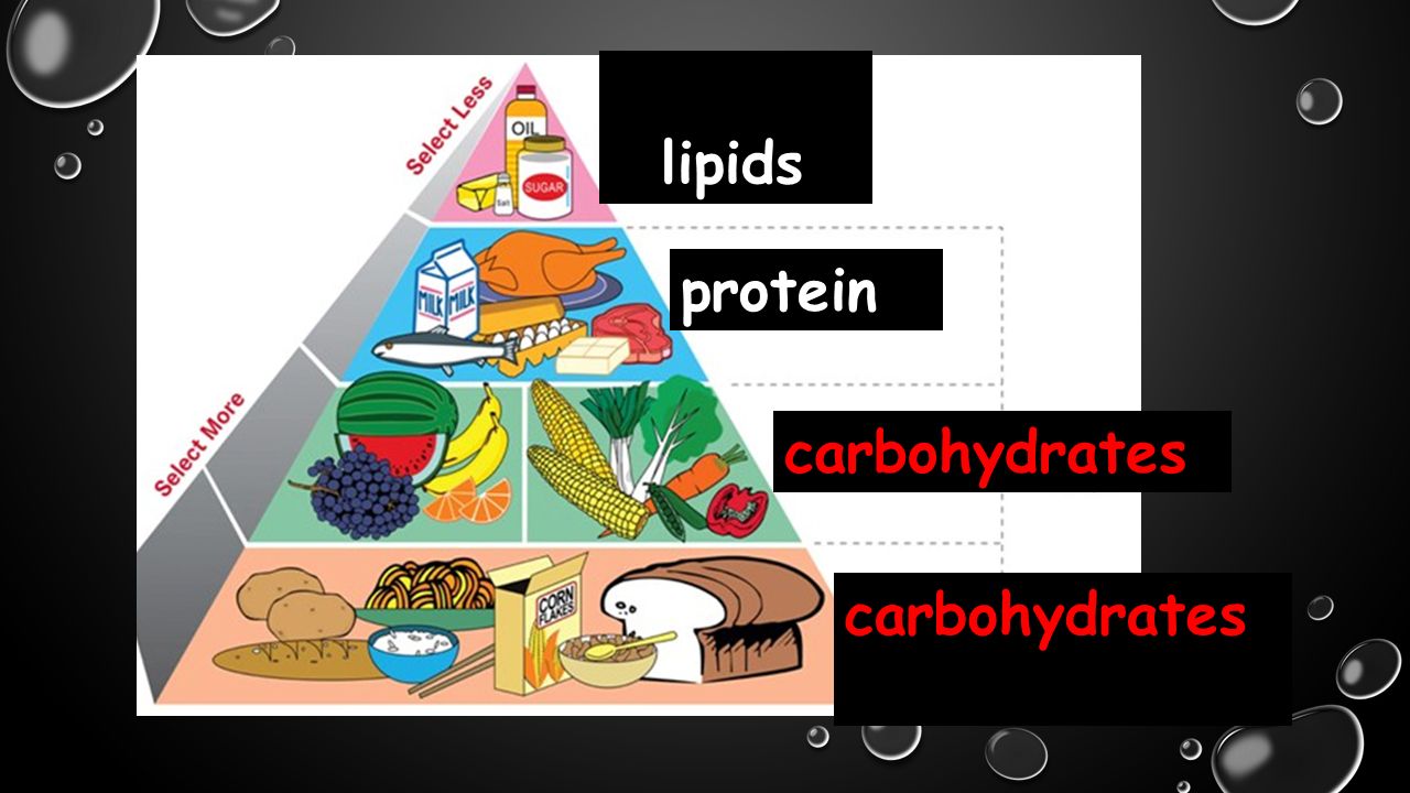 lipids protein carbohydrates carbohydrates