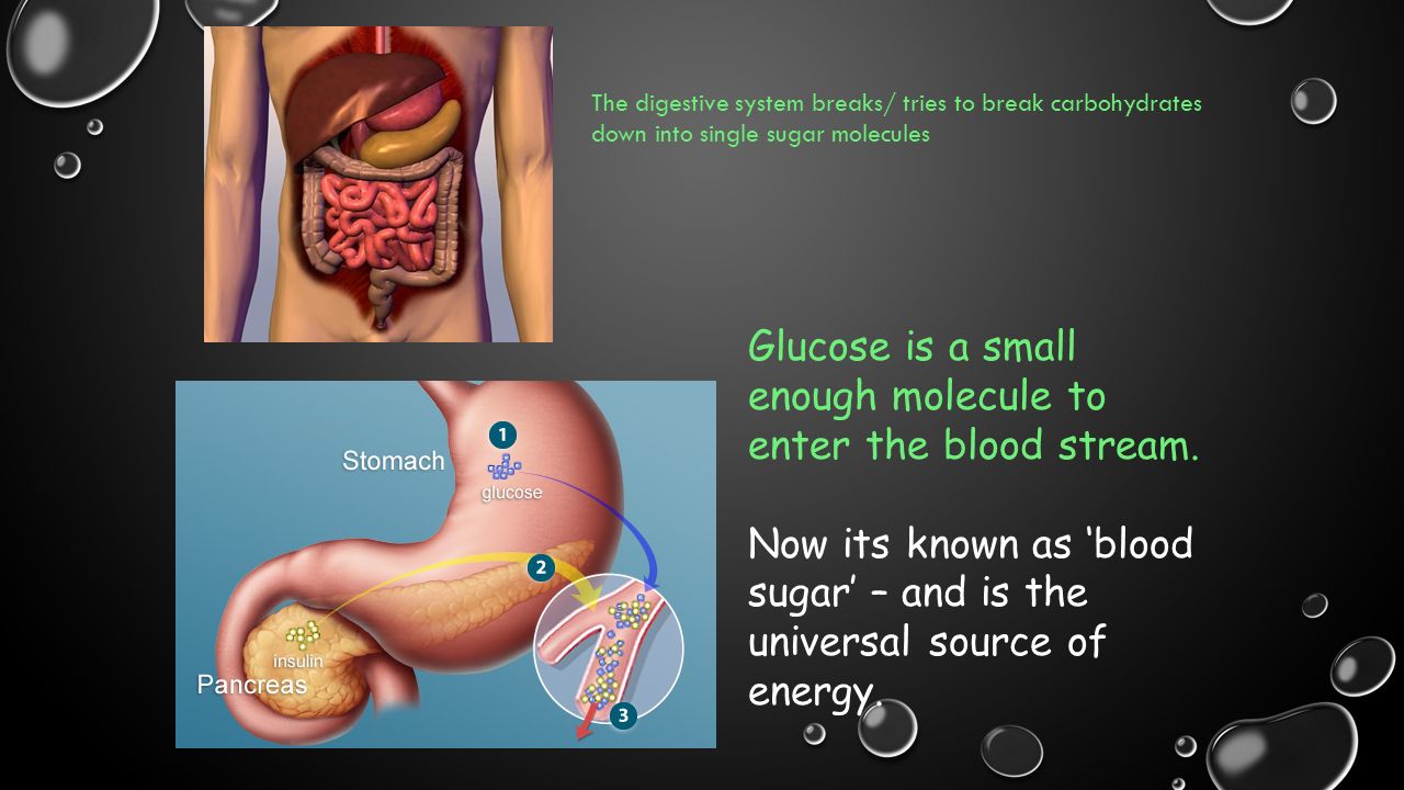 Glucose is a small enough molecule to enter the blood stream.