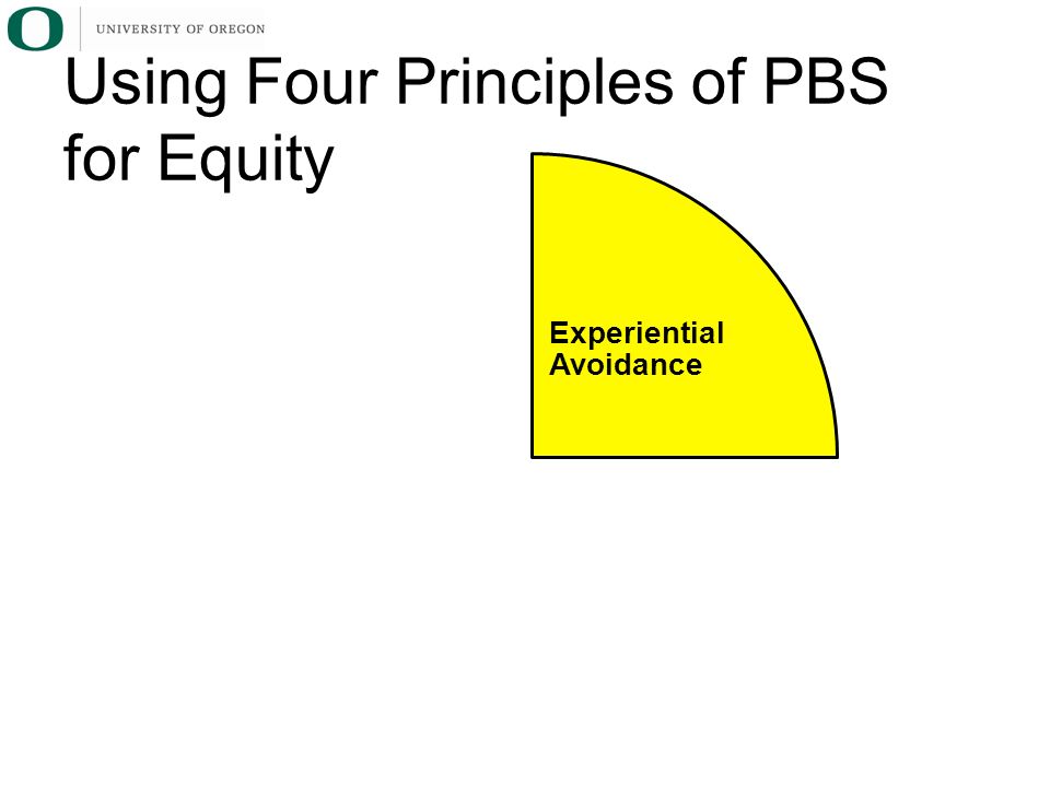 Using Four Principles of PBS for Equity