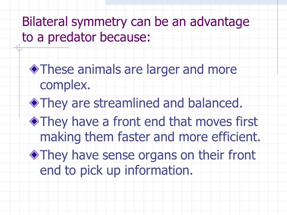 Bilateral symmetry can be an advantage to a predator because: