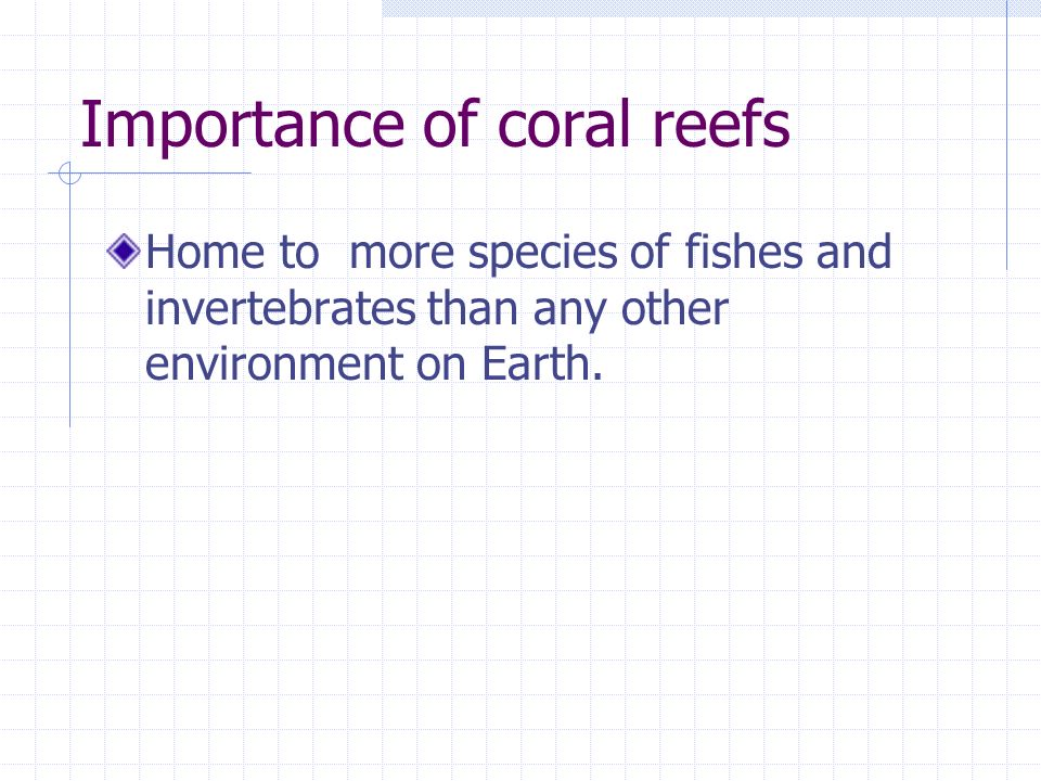 Importance of coral reefs