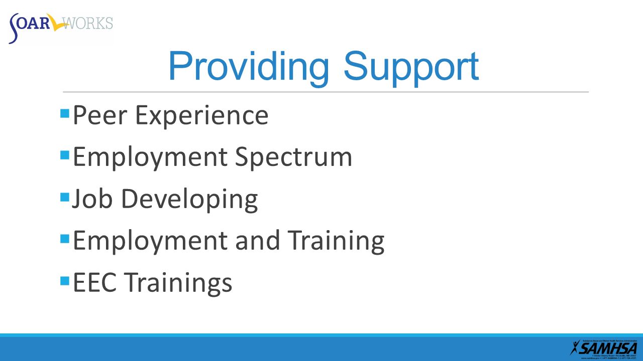 Providing Support Peer Experience Employment Spectrum Job Developing
