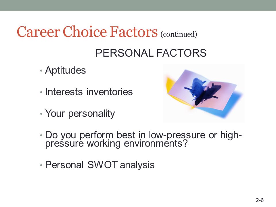 Career Choice Factors (continued)