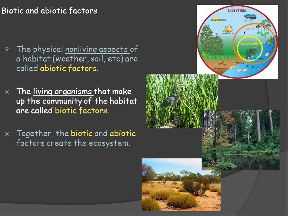 Biotic and abiotic factors.