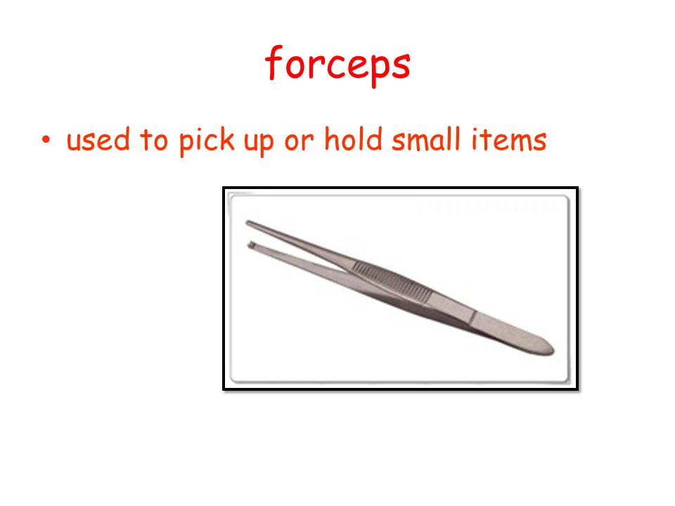 forceps used to pick up or hold small items