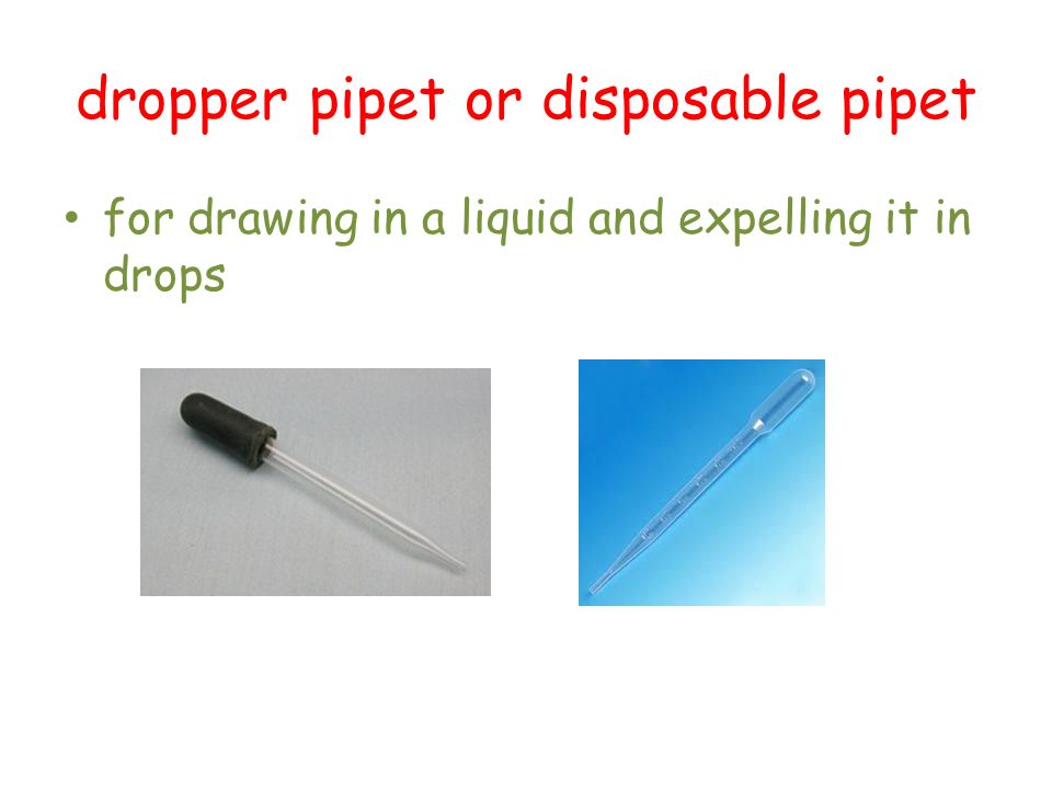 dropper pipet or disposable pipet