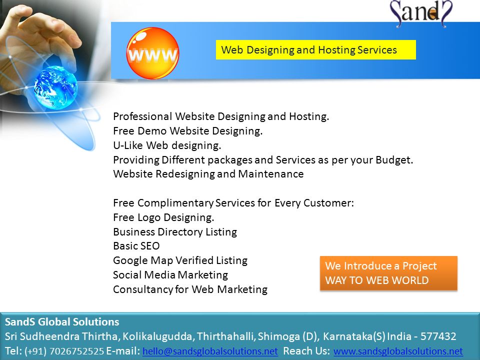 Web Designing and Hosting Services