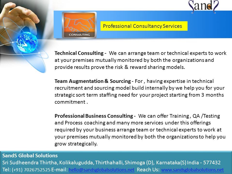 Professional Consultancy Services