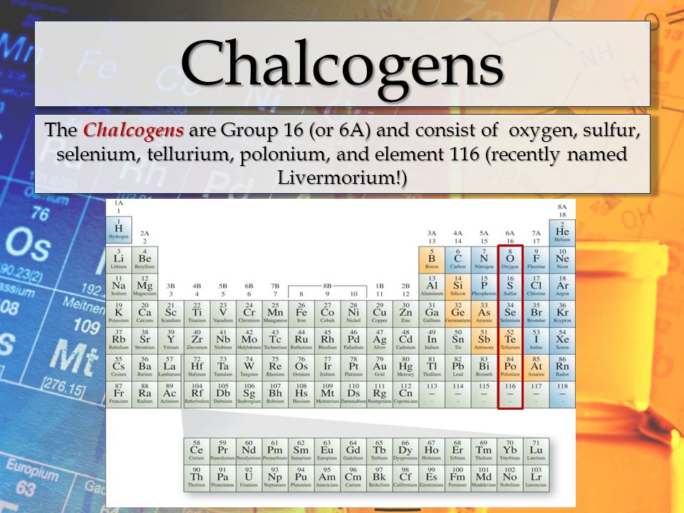 Chalcogens 2024 periodic table