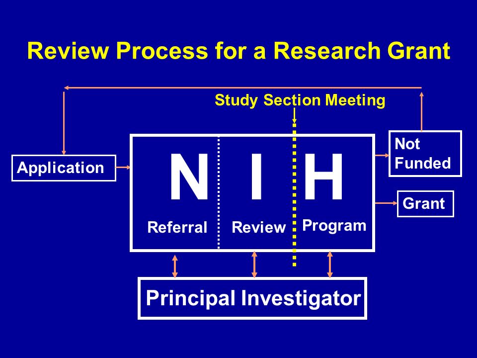 Review Process for a Research Grant