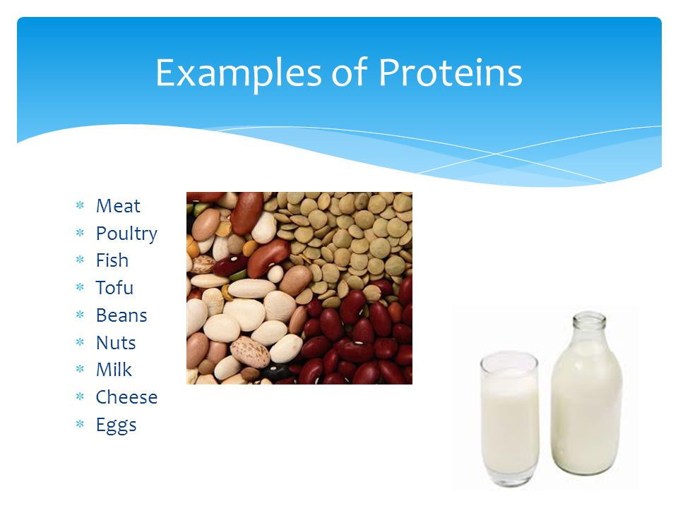 Examples of Proteins Meat Poultry Fish Tofu Beans Nuts Milk Cheese
