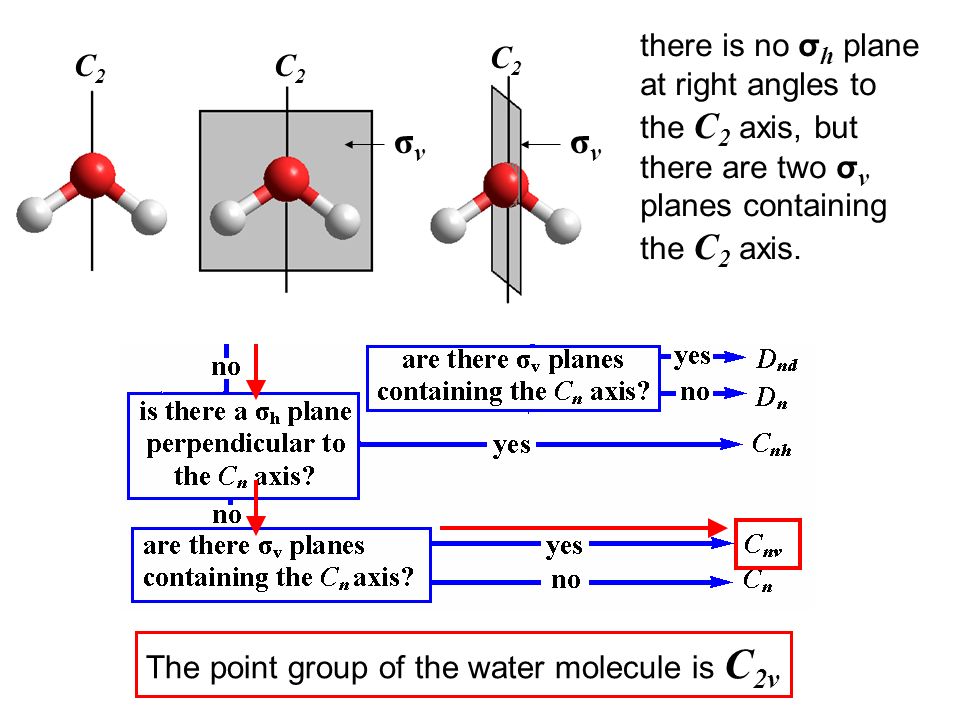 The point group of the water molecule is C2v. 
