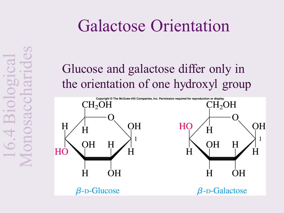 Galactose Orientation