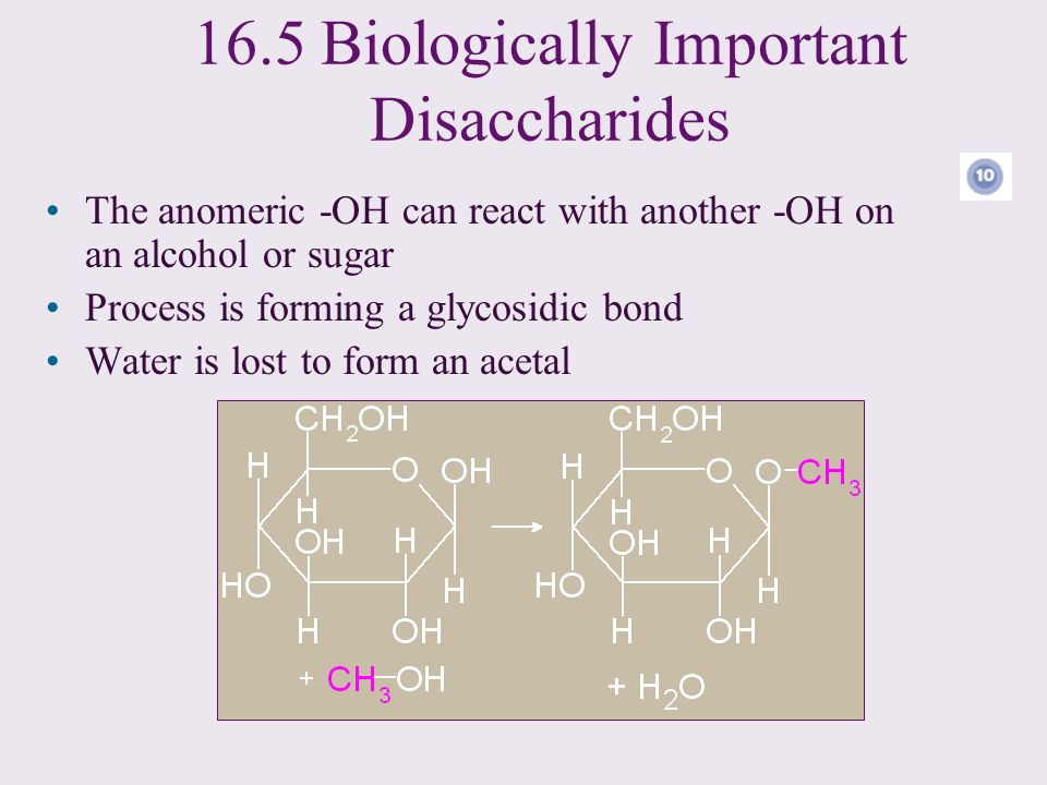 16.5 Biologically Important Disaccharides