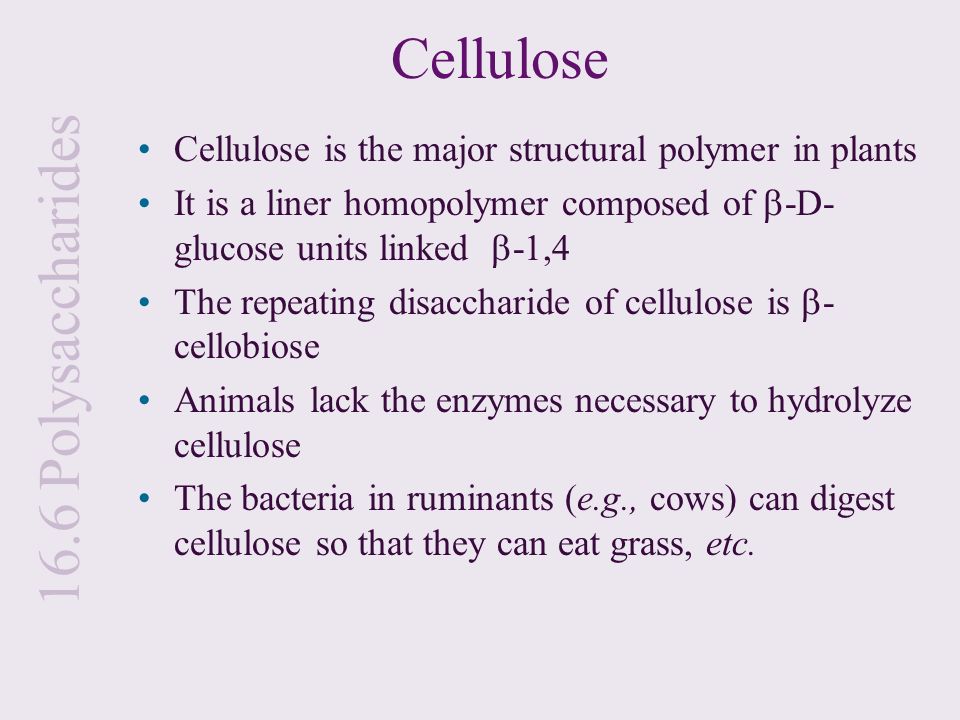 Cellulose 16.6 Polysaccharides