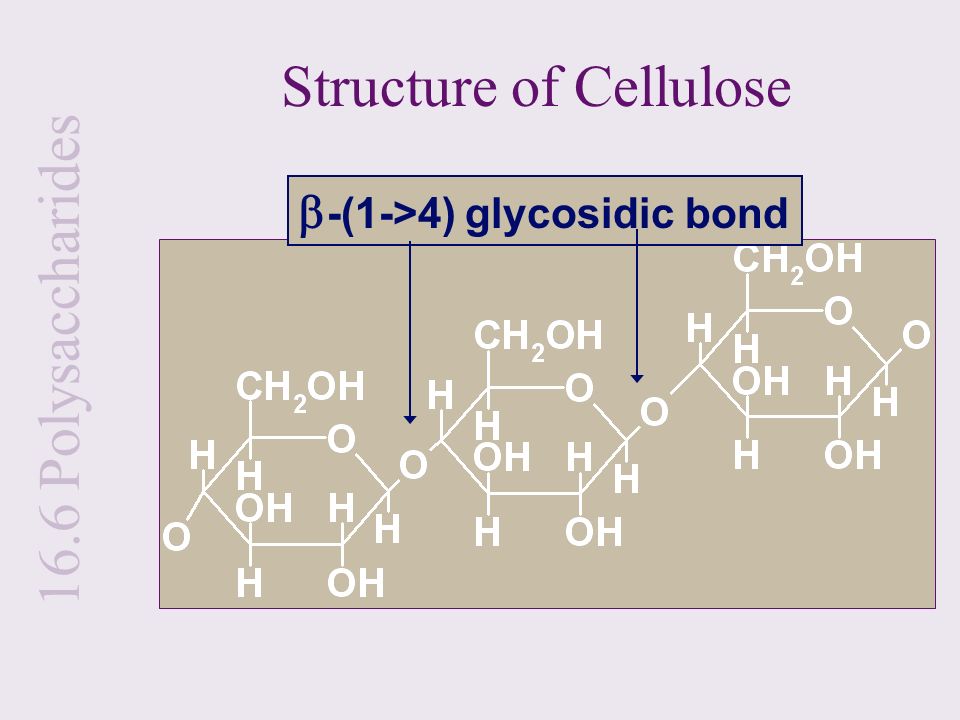 Structure of Cellulose