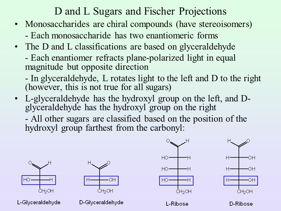D and L Sugars and Fischer Projections