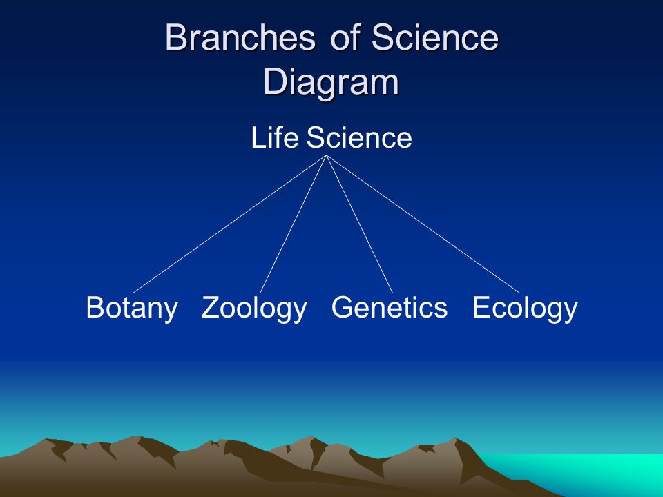 Branches of Science Diagram
