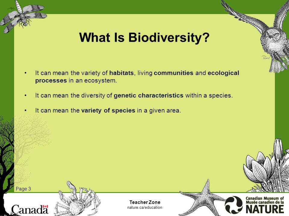 Measuring Biodiversity - ppt video online download
