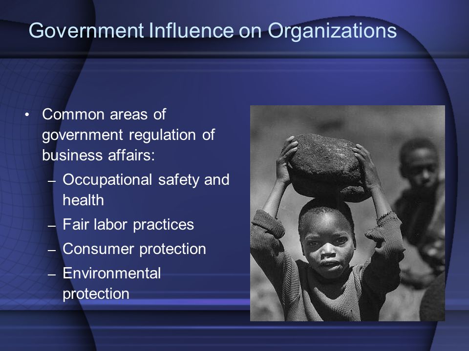 Government Influence on Organizations