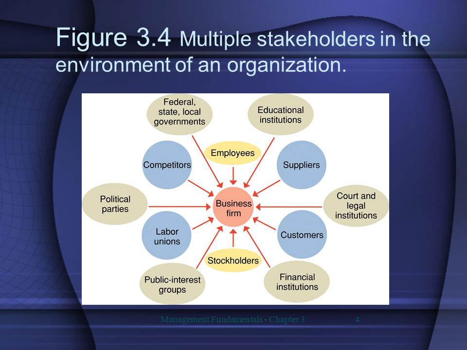 Figure 3.4 Multiple stakeholders in the environment of an organization.