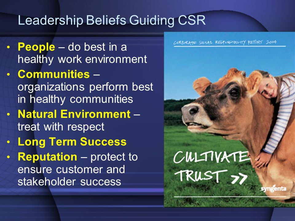 Leadership Beliefs Guiding CSR