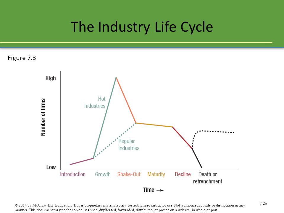 The Industry Life Cycle